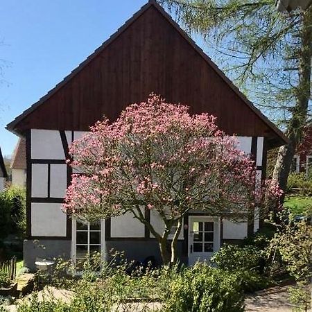 Gemuetliches Ferienhaus Im Extertal/ Lippe المظهر الخارجي الصورة