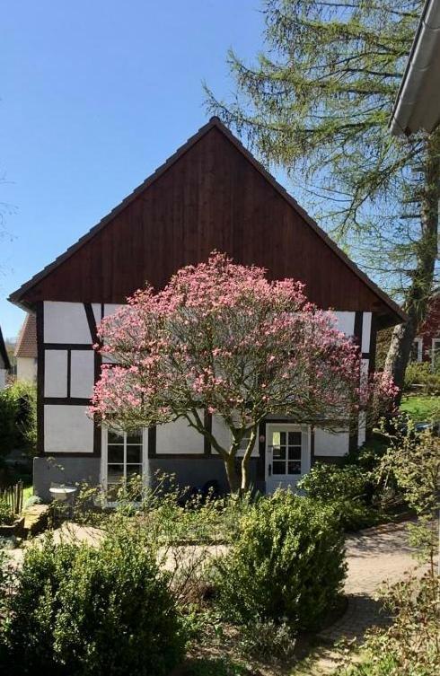 Gemuetliches Ferienhaus Im Extertal/ Lippe المظهر الخارجي الصورة