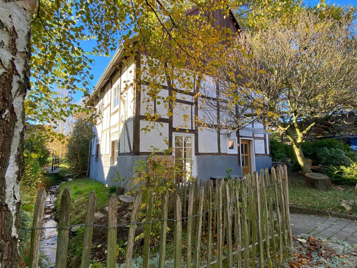 Gemuetliches Ferienhaus Im Extertal/ Lippe المظهر الخارجي الصورة