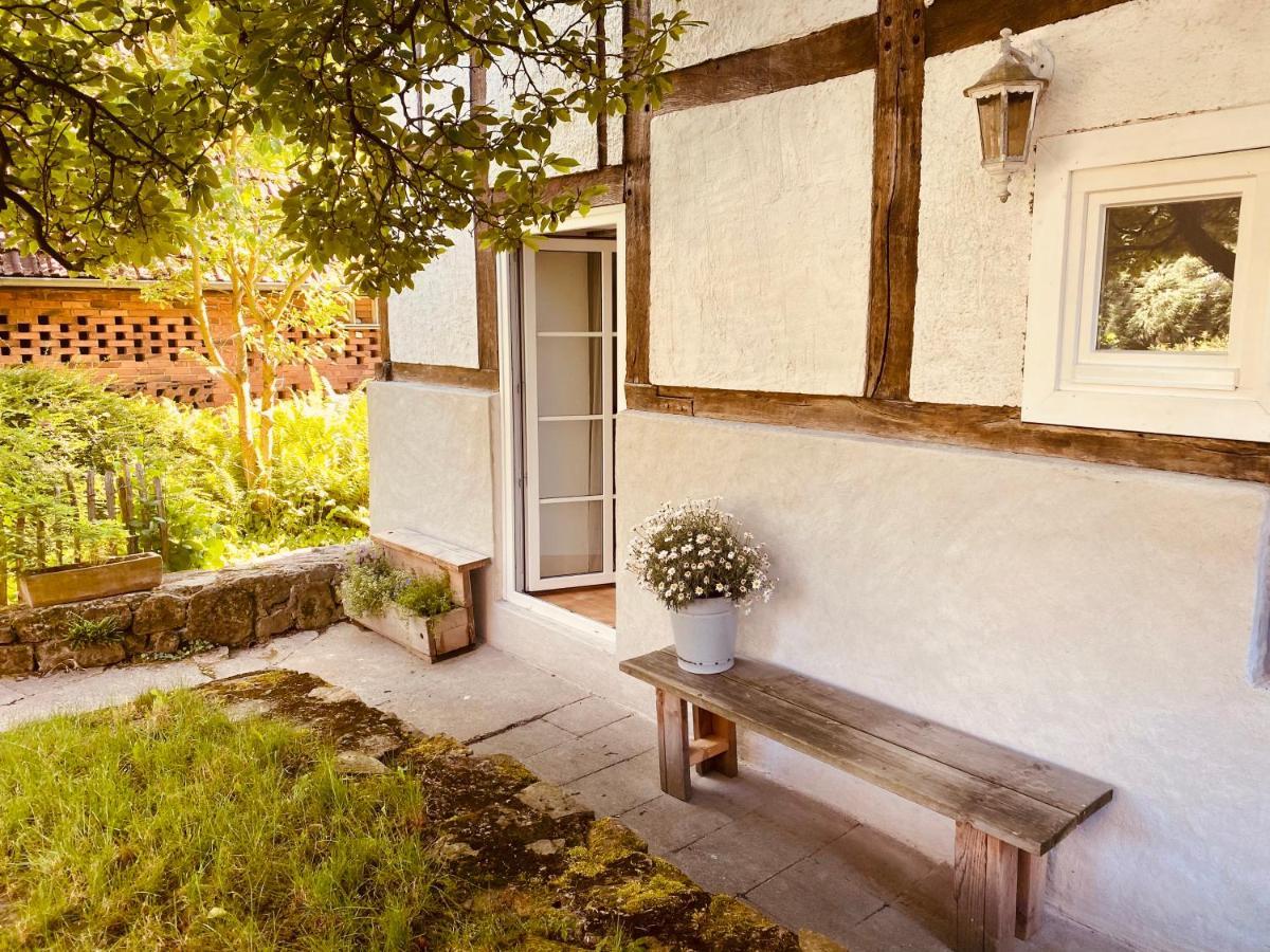 Gemuetliches Ferienhaus Im Extertal/ Lippe المظهر الخارجي الصورة